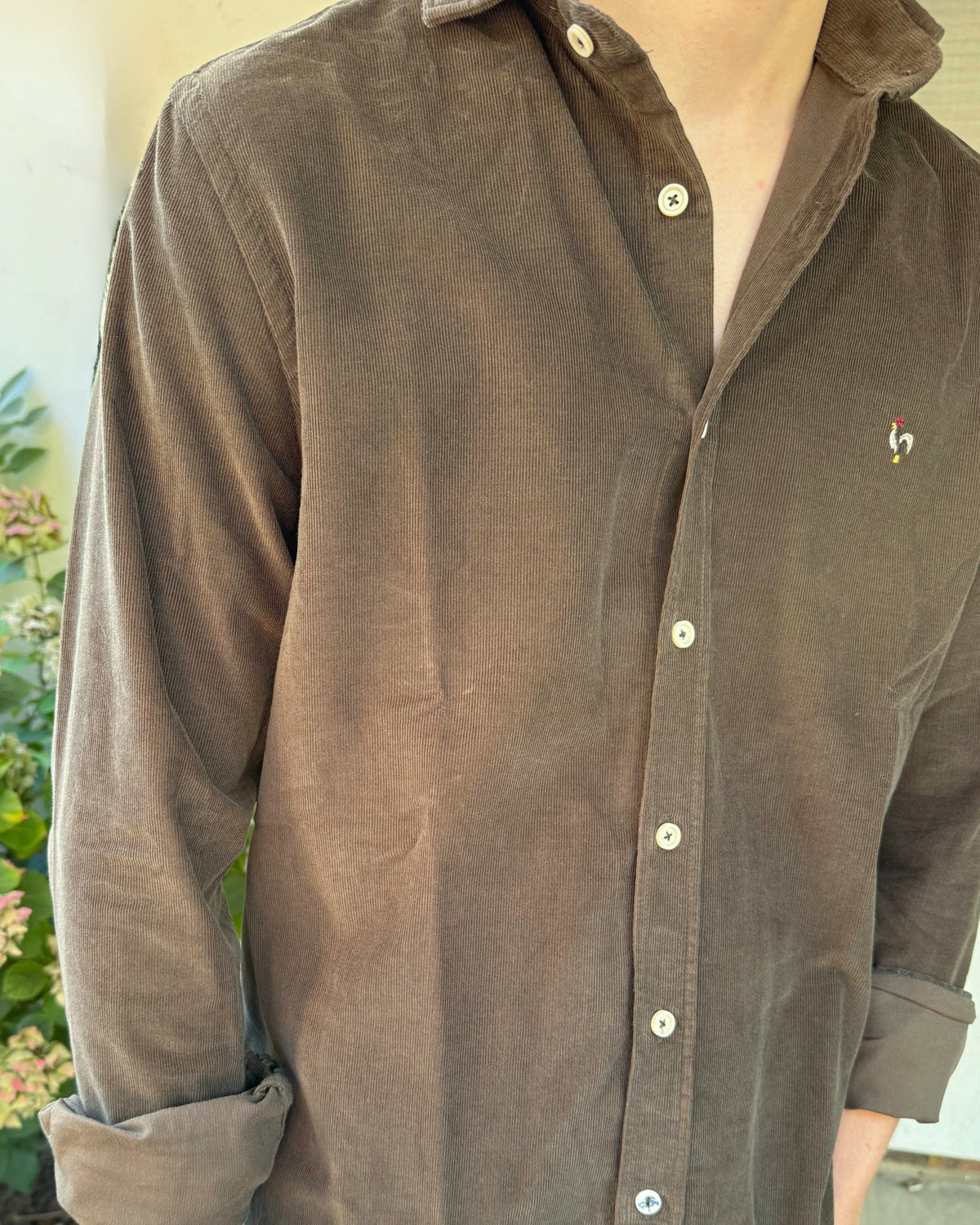 The Estrella in Deep Olive